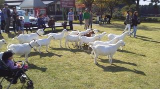 2015101114040000.jpg